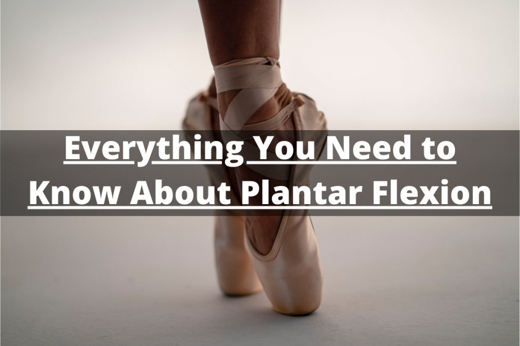 Plantar Flexion